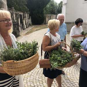 Kräutersegnung Wulkaprodersdorf 15. August 2022